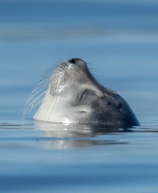 Purpose of the minute…. We often wonder about the purpose of… by