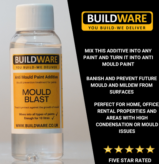 Benefits of Anti Mould Paint Additive by Buildware Aug, 2023 Medium