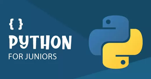 Who Can Join the Python Programming Training at Digitalearn? | by Arko ...