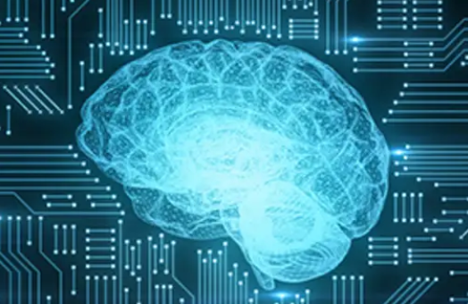 Os Conflitos entre Privacidade, Inteligência Artificial e Interoperabilidade