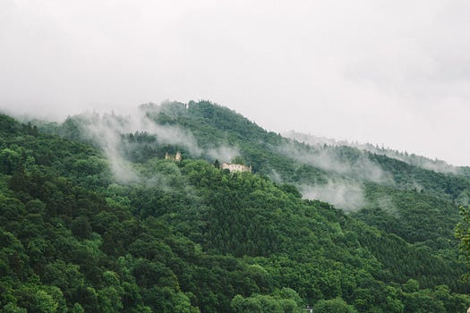 forest monasteries