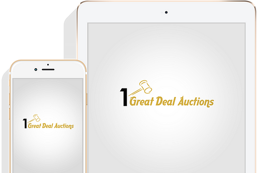 Best Live auction Sites