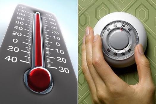 Environment Thermometers