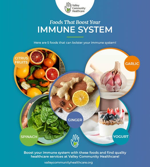10 Foods That Boost the Immune System by Bilal Sep, 2024 Medium