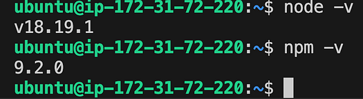 Node and npm version check