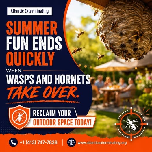 Franklin Pest Exterminator: Reliable Pest Control for a Safer Home
