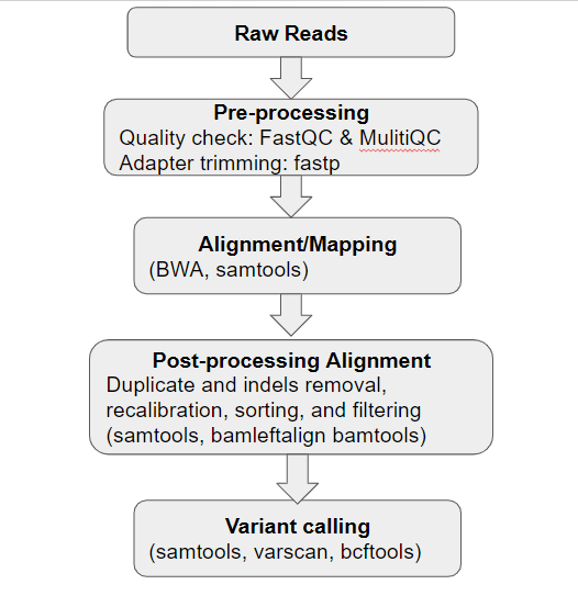 Bioinformatics pipeline flowchart