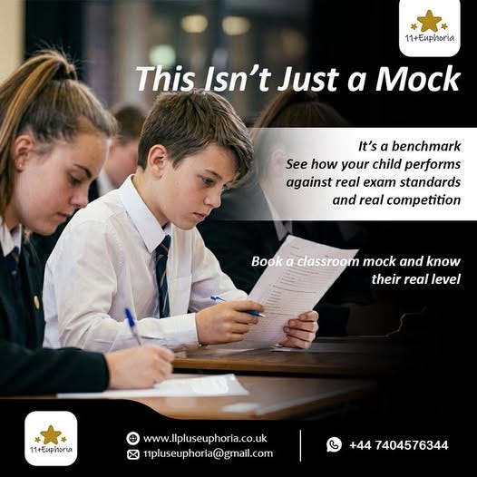 HBS Mocks Test Online for Selective School Preparation