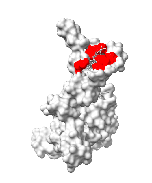Residues contributing to Heme C (HEC Residues: Val61, His65, Ile68, Cys77, His93, Arg109) from Cryo-EM subunit of the OmcZ nanowires from Geobacter sulfurreducens (PDB 8D9M) highlighted in red. CC by SBGrid.