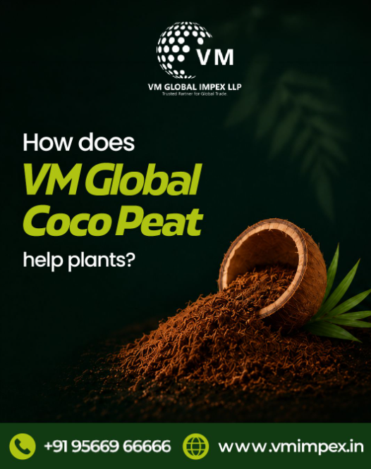 Cocopeat Exporters in India: Why Global Buyers Trust Indian Suppliers