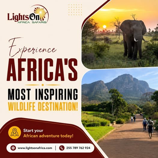 Tanzania Safari Packages — Explore Africa’s Most Incredible Wildlife Adventures