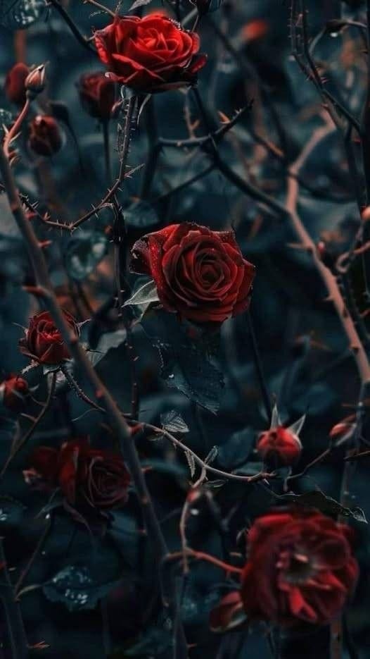 BEAUTIFUL DISASTER | by Deborah George | Medium