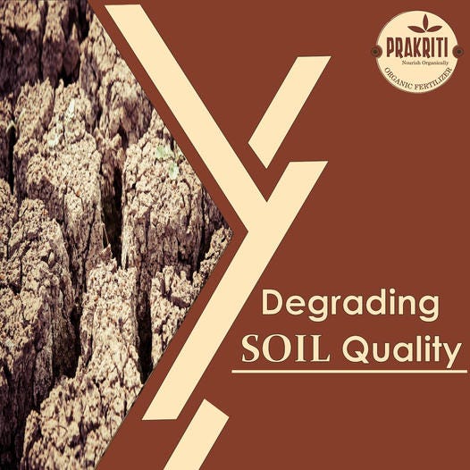 best fertilizer for plants in india Organic Prakriti Medium