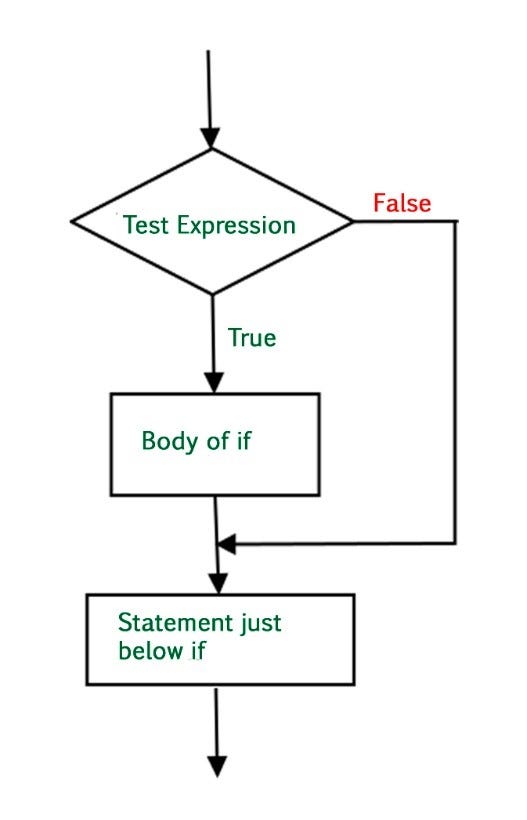 Making Informed Choices in Python: A Guide to Conditional Statements ...