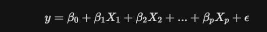 The Art of Doing Less: A Practical Guide to Sparse Modeling and Estimation