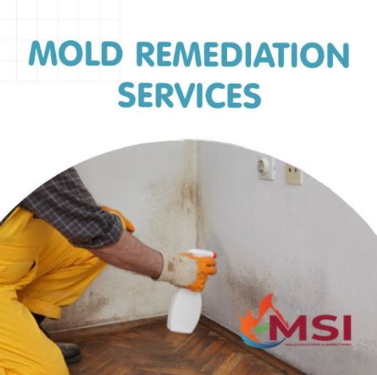 Residential Mold Remediation Services - Voda