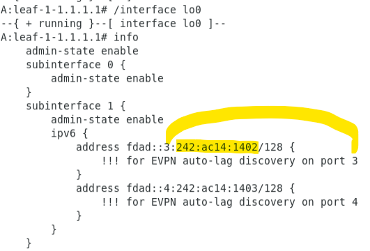 Self organizing SR Linux part II b IPv6 encoded LLDP Data To Drive EVPN Based Auto 