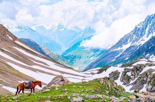Discover the Magic of Kashmir in Winter: A Snowy Paradise Awaits