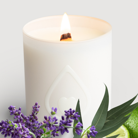 What Scented Candles Are Safe and Longlasting? Discover Right Now! by
