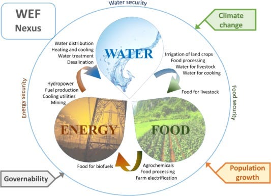 Assessing the land resource-food price nexus of the Sustainable