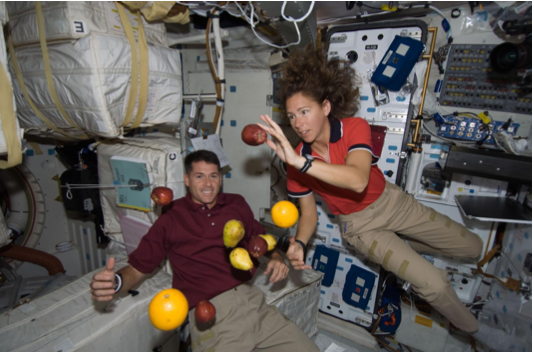 THE EFFECTS OF MICROGRAVITY ON THE HUMAN BODY | by Sanshray Saxena ...