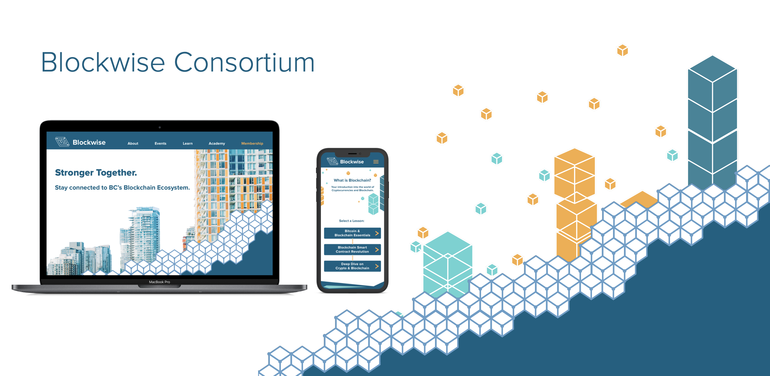 Connecting the blockchain ecosystem — a UX case study | by Cindy Leung | UX  Planet
