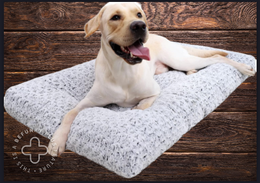 Curated visual reference: Fresh Look at Ultimate Comfort For Your Furry Friend Washable Dog Bed Deluxe