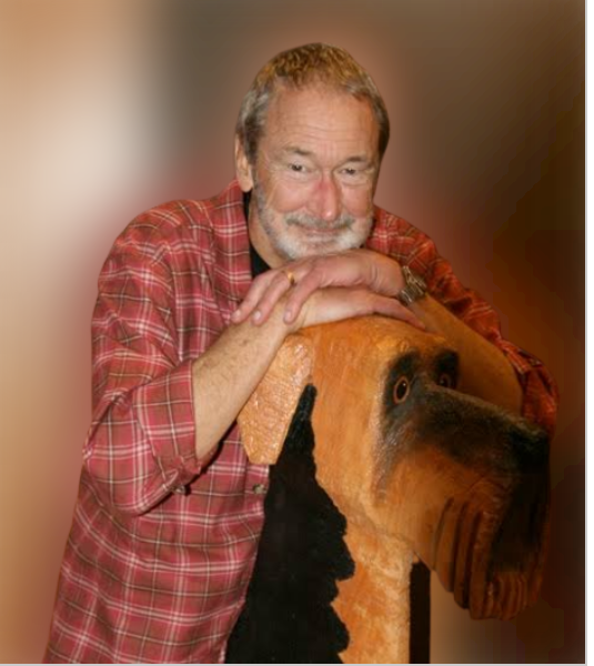 Blue Buffalo cat food Walmart Knows Corner Medium