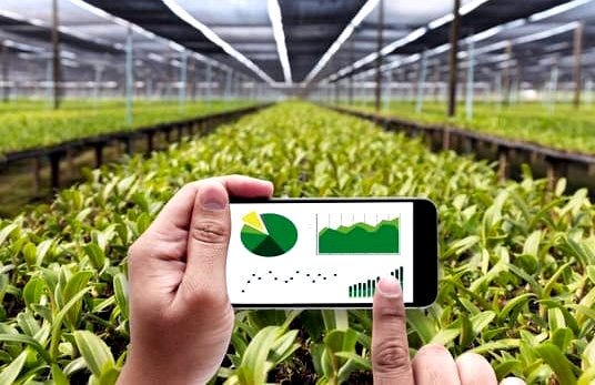 Agribusiness Management.