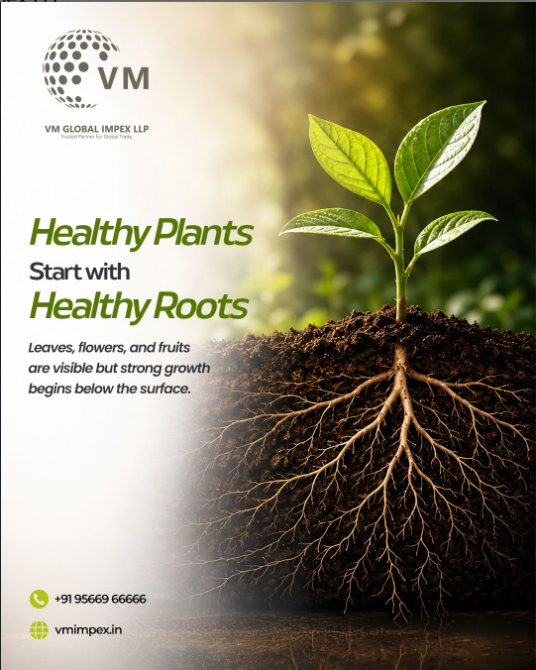 Cocopeat Export from India | VM Global Exporters