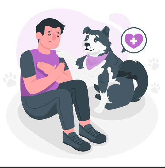 My Dog Ate Cat Poop and Is Now Sick What Should I Do? by zain Naseer