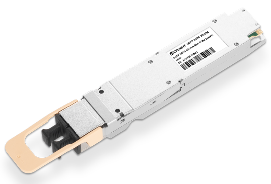 OSFP 800G vs. OSFP224 800G: What’s the Difference?