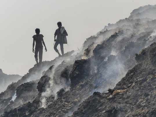 In Praise of Garbage