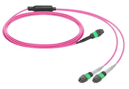 How to Cable an 800G to 2×400G AI Cluster Using MPO Breakout Cables