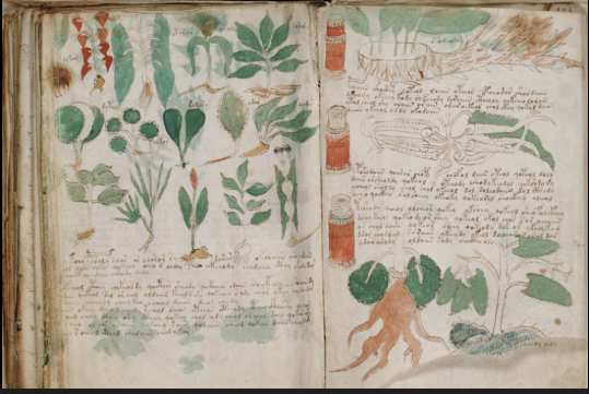 The Mystery of the Voynich Manuscript
