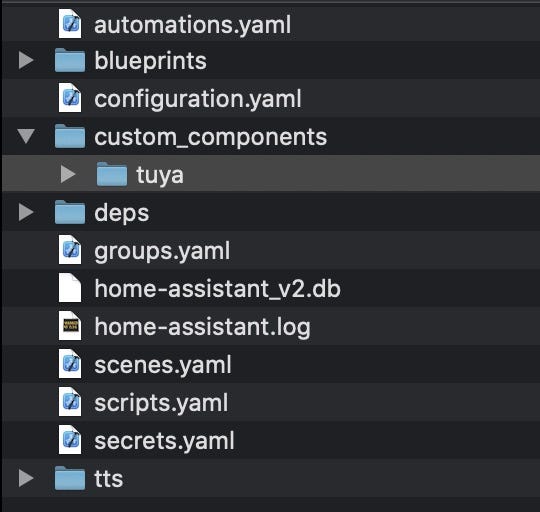 Develop Tuya-Compatible Home Assistant Drivers | by Doria | Medium