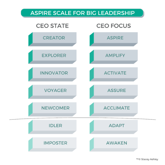 Big Vision, Bold Decisions and Brave Action. How CEOs Aspire to