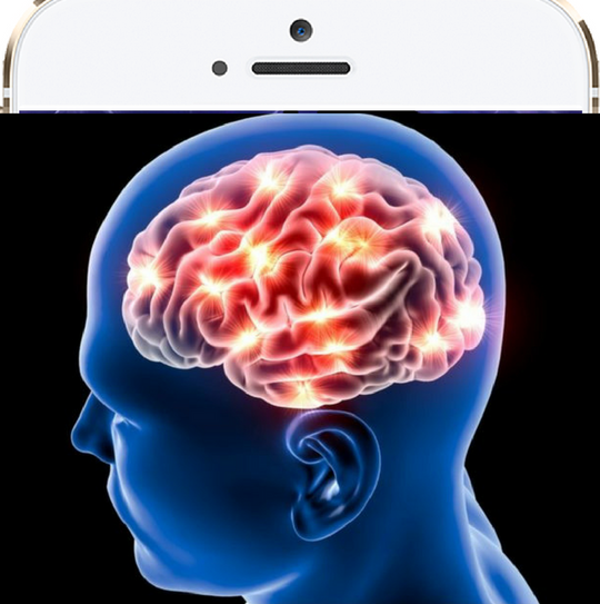 Brain Health Custom Libraries Genius Insight — Insight Health Apps
