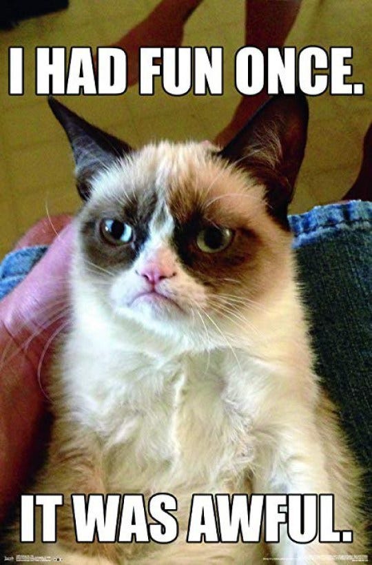 Game Over, Grumpy Cat