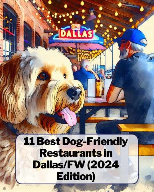 Best Dog Friendly Restaurants Dallas: Top Spots for Pups & Owners