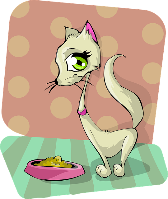 Can Cats Eat Dog Food Safely Cats Can Safely Eat Dog Food In Small 