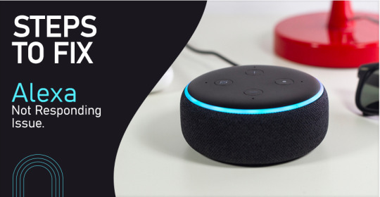 Alexa Not Responding — How to Fix The Issue? - Alexa Echo Dot Helpline