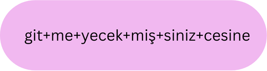 Optimal Turkish Subword Strategies II: What WordPiece Learns from Turkish Morphology
