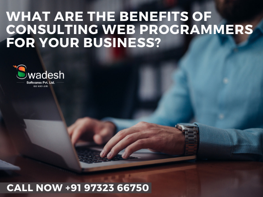 What are the benefits of consulting web programmers for your business What are the benefits of consulting web programmers for your business