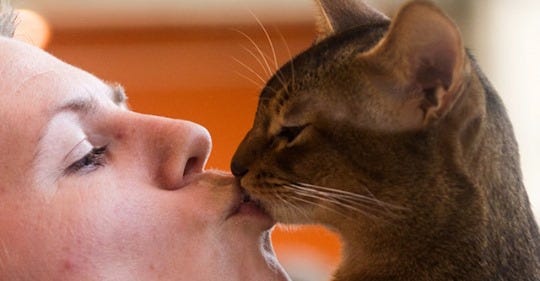 I gatti sono come i bimbi: sono affettuosi e hanno bisogno di noi per sentirsi sicuri