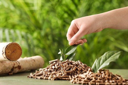 Wood Pellet. Tentu sudah banyak sekali orang yang… | by Gosh Writer | Medium