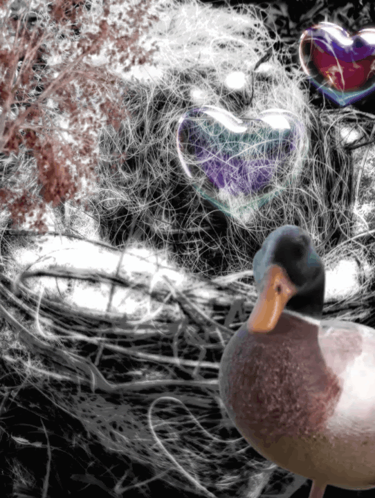 “Whaa?…sky-bubbles?— Waddl’ they think of nest” — by Jaylee Reign © 2023🌿დ