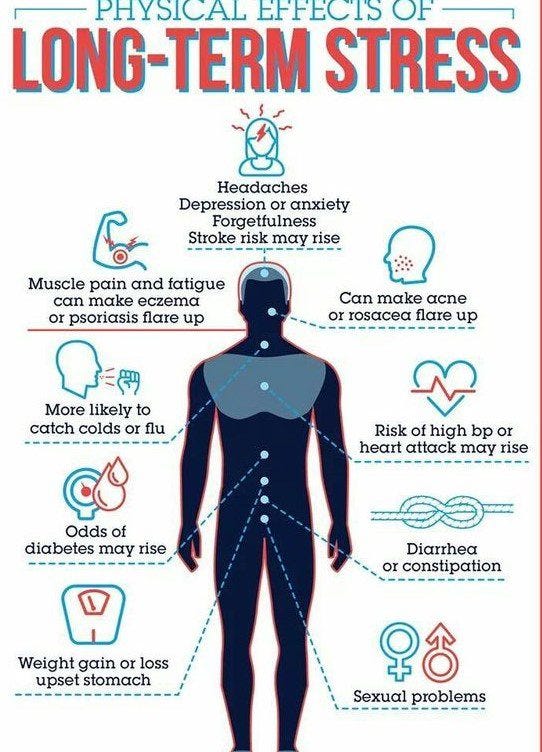 what-causes-stress-many-things-in-life-can-cause-stress-by