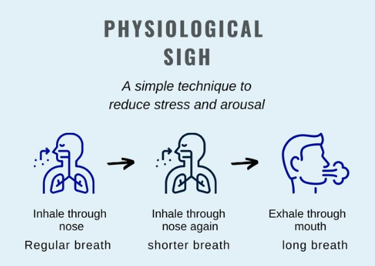 Breathing: ‘The physiological sigh’ | by Richard McLean | Medium