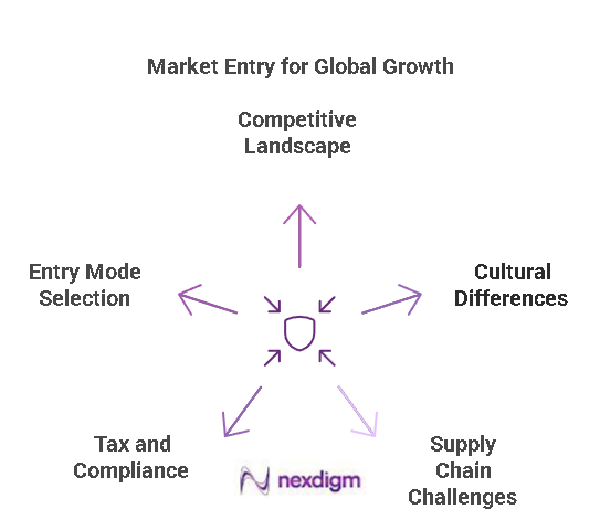 Market Entry Barriers Analysis — Nexdigm